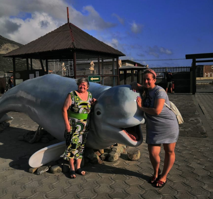 Anapa Dolphinarium-Bolshoy Utrish必去景点
