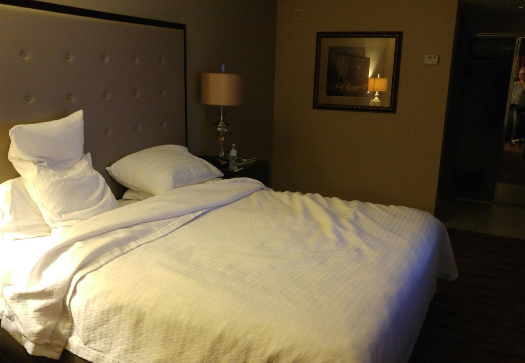 阿尔布开克机场希尔顿惠庭套房酒店主图