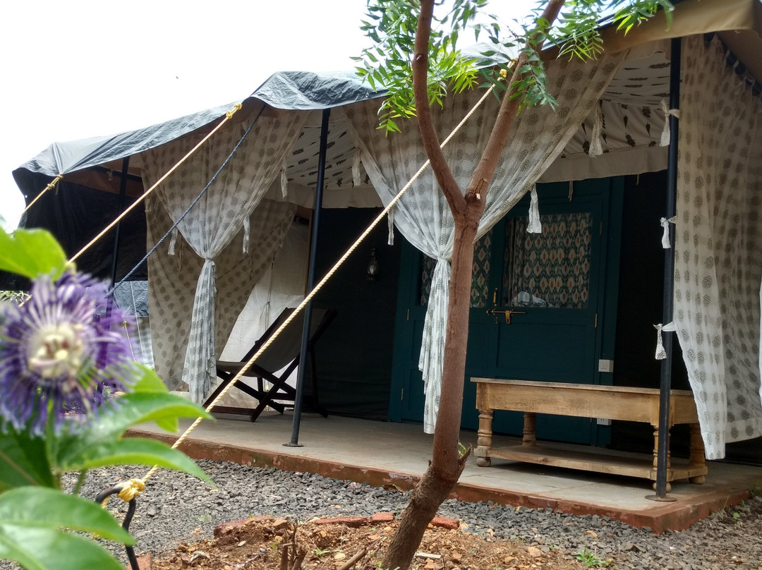 Bohemyan Blue Stay主图