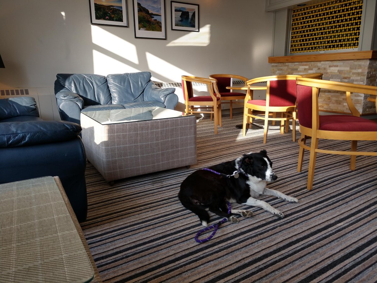 Kilbirnie Hotel-餐饮