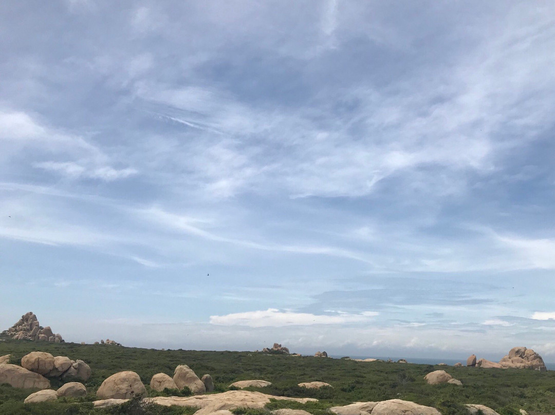 Phan Ri Cua旅游攻略图片