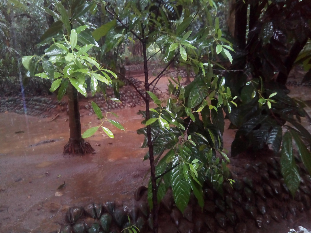 New Ranweli Spice Garden-康提必去景点