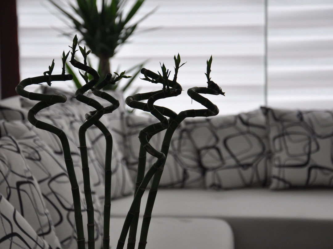 Dunaysir Hotel主图