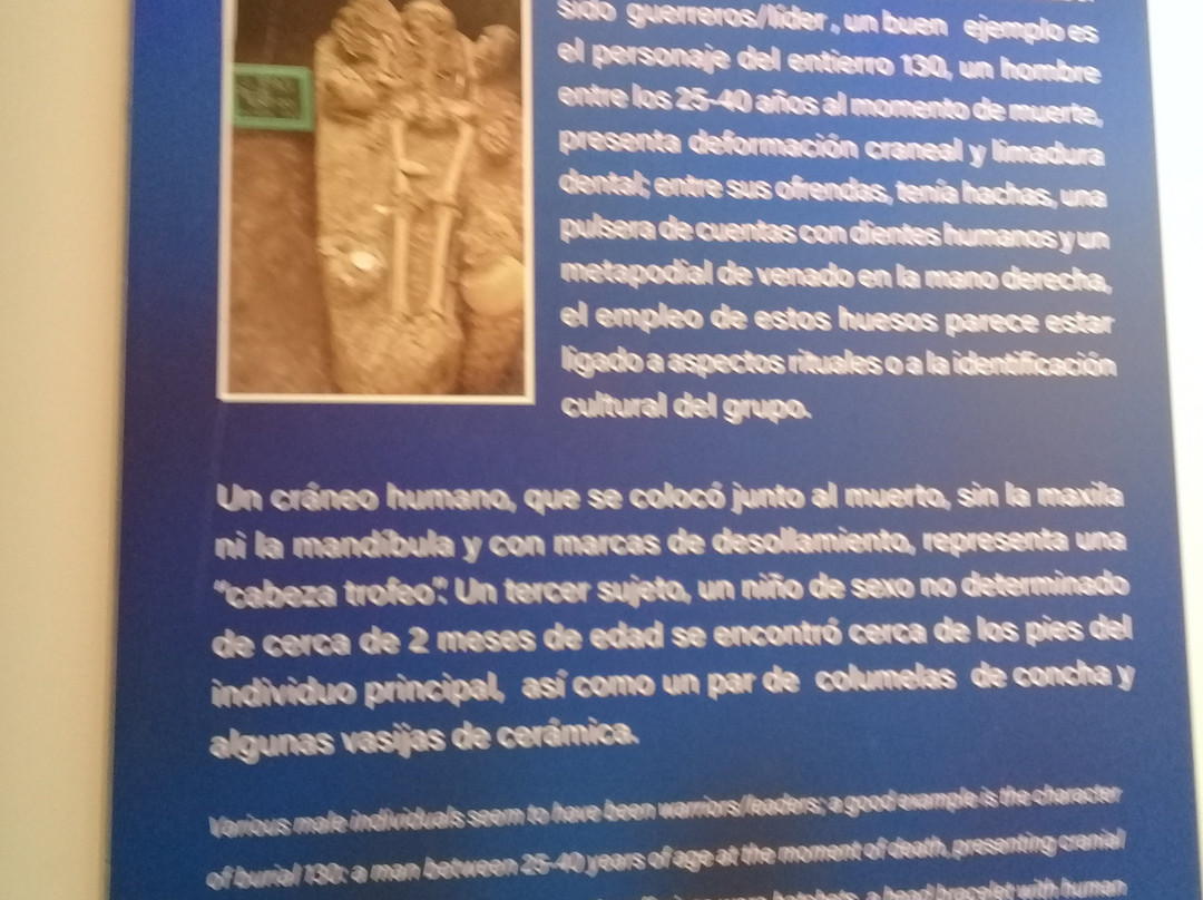 Museo de Guanacaste景点图片