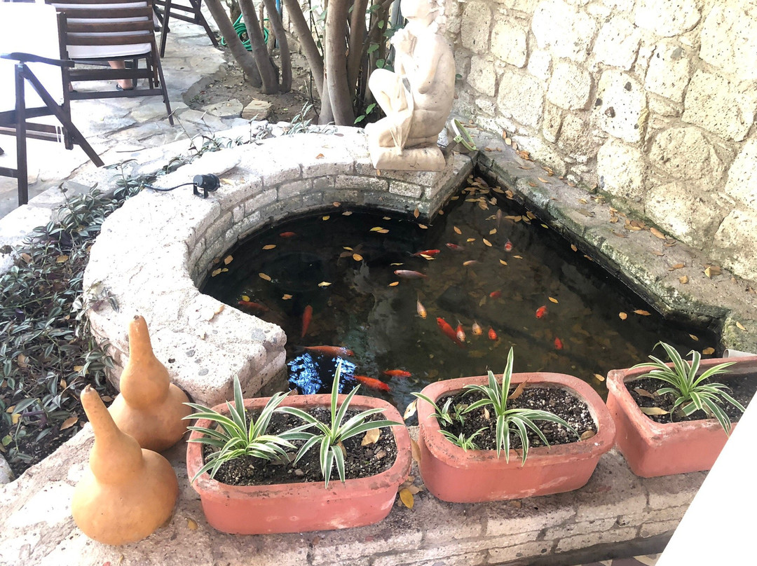 阿拉恰特因克里尔弗酒店主图