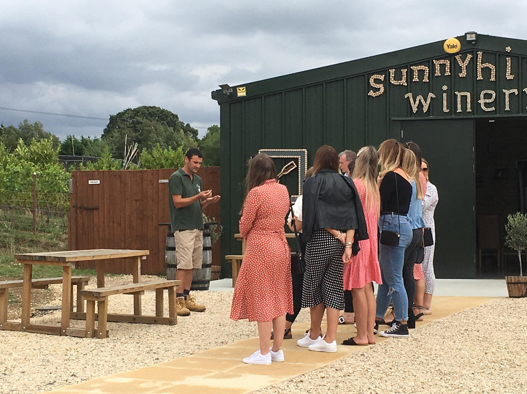 Sunnyhill Vineyard景点图片