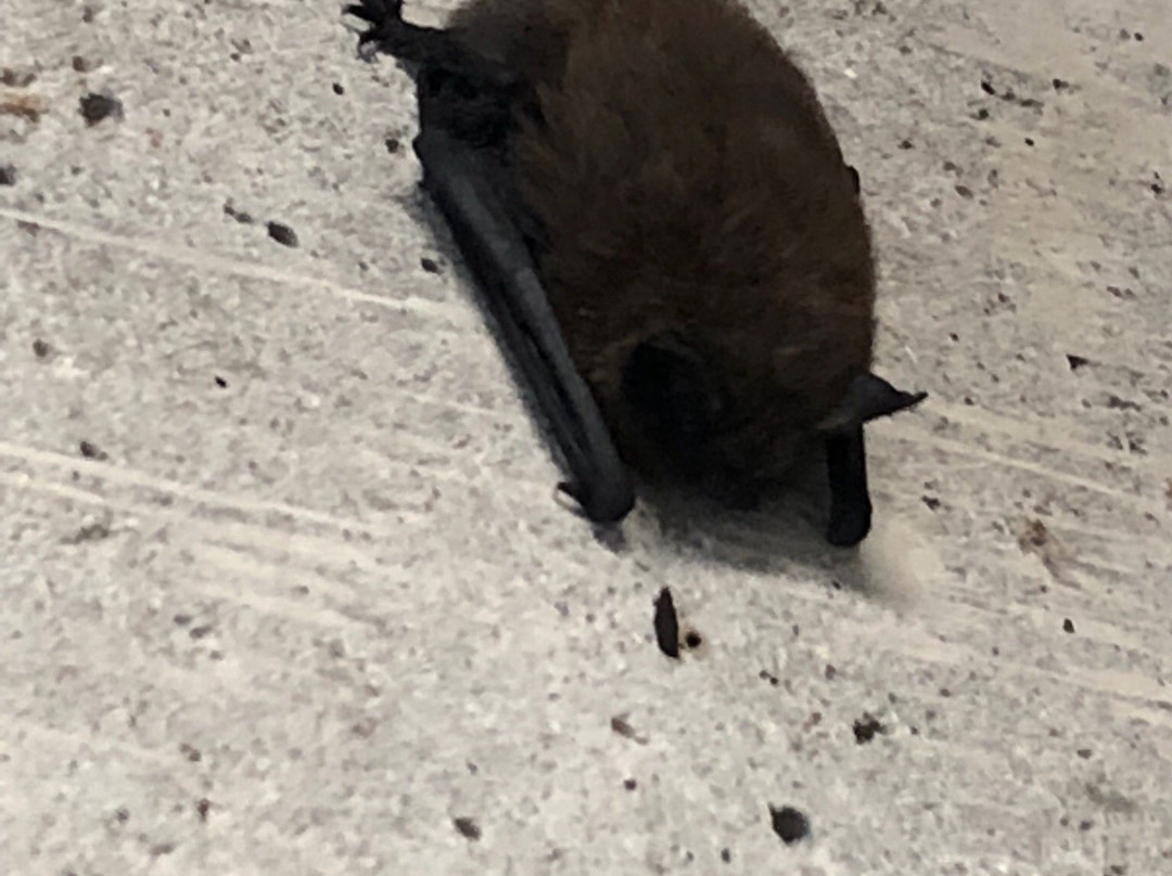 Libby Dam Visitor Center-Libby必去景点