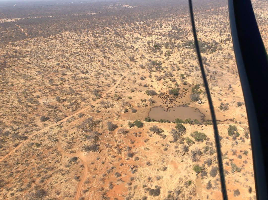 Leading Edge Flight School景点图片