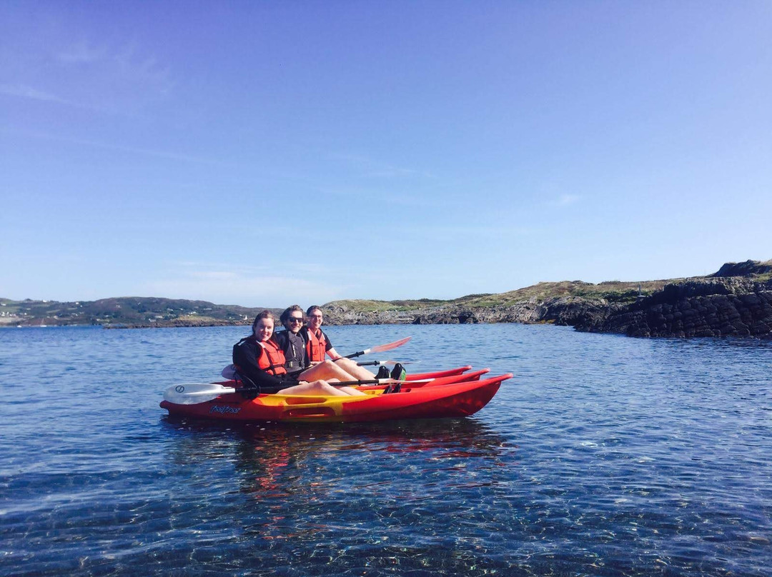 Schull Sea Safari-Schull必去景点