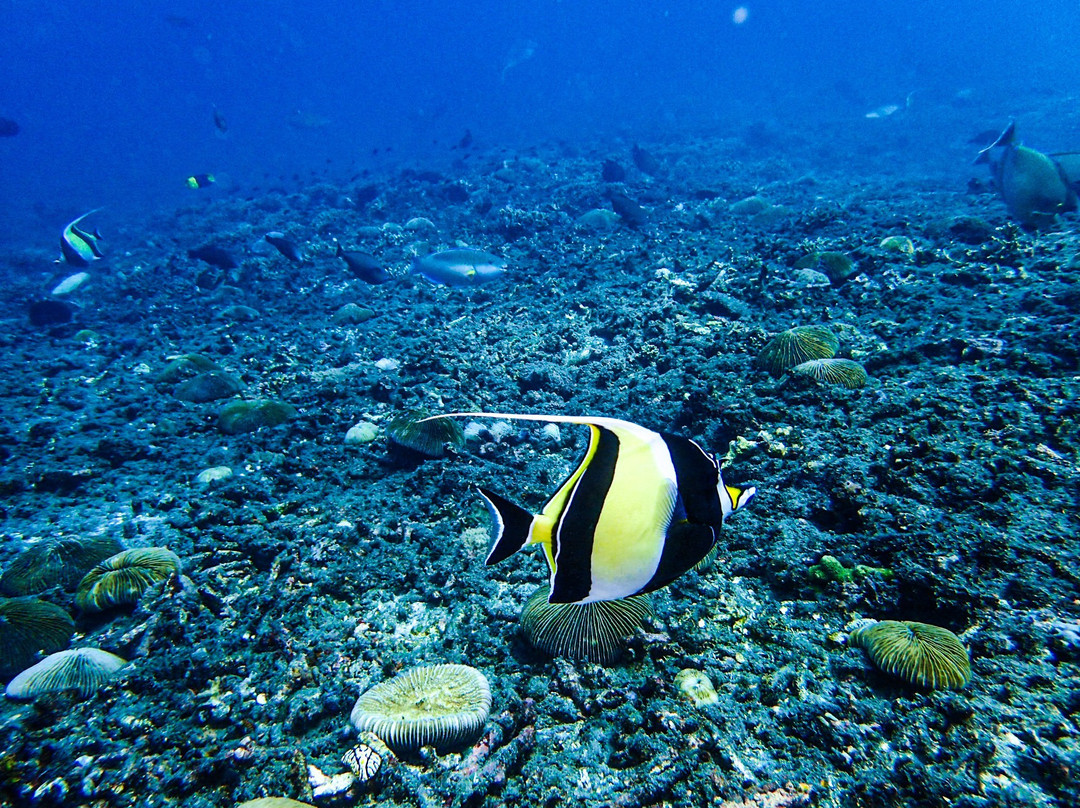 Padangbai Bali Dive-卡朗阿森必去景点