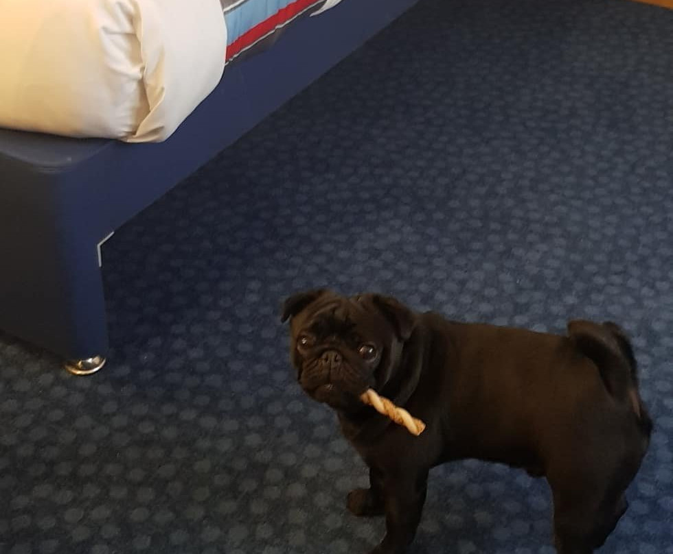 Travelodge Buckingham主图