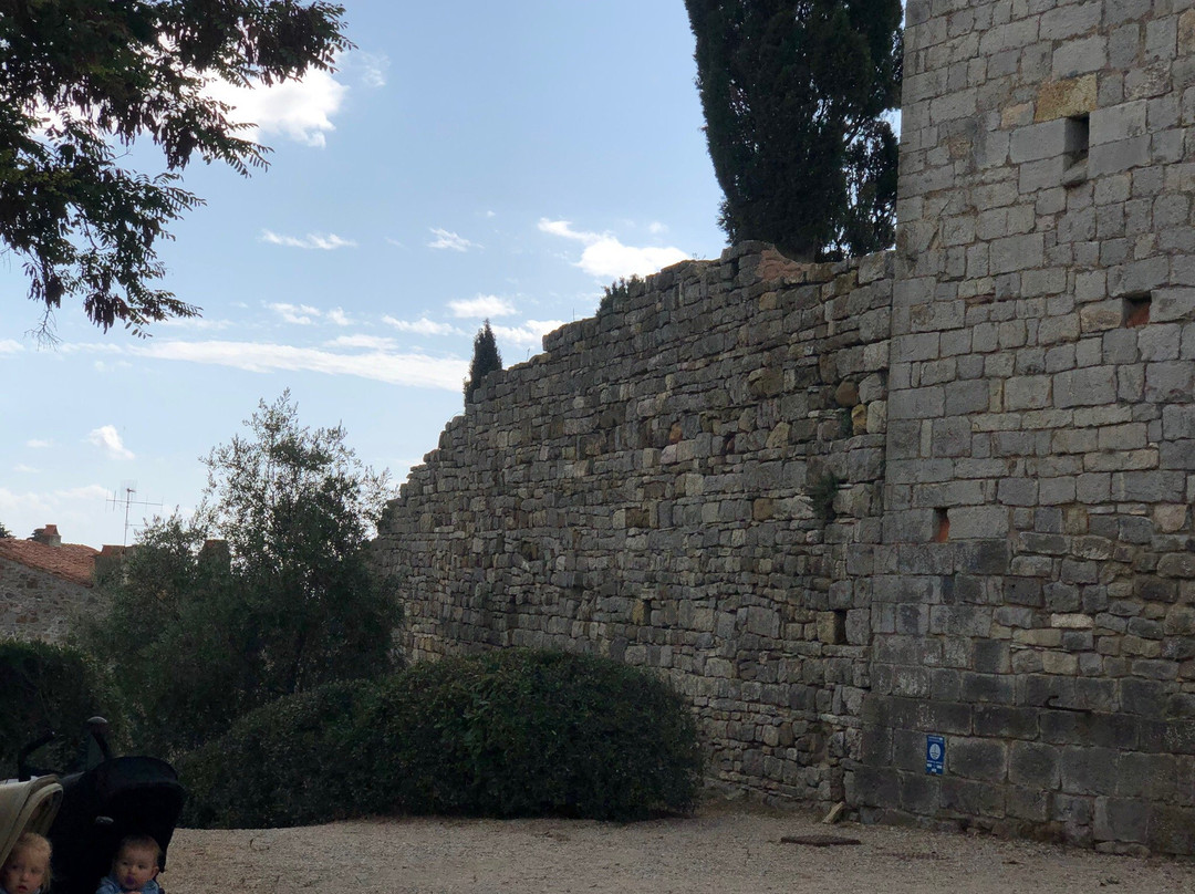 Museo della Rocca di Campiglia景点图片