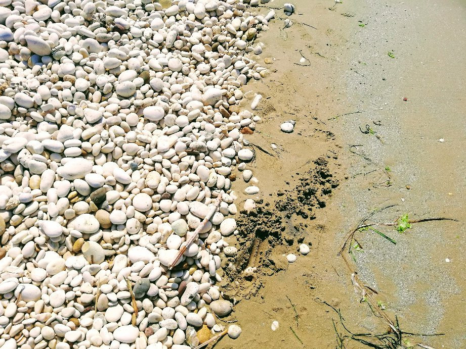 Spiaggia di giache bianche