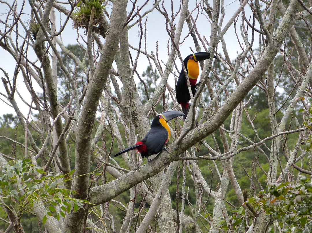Pousado do Pescador主图