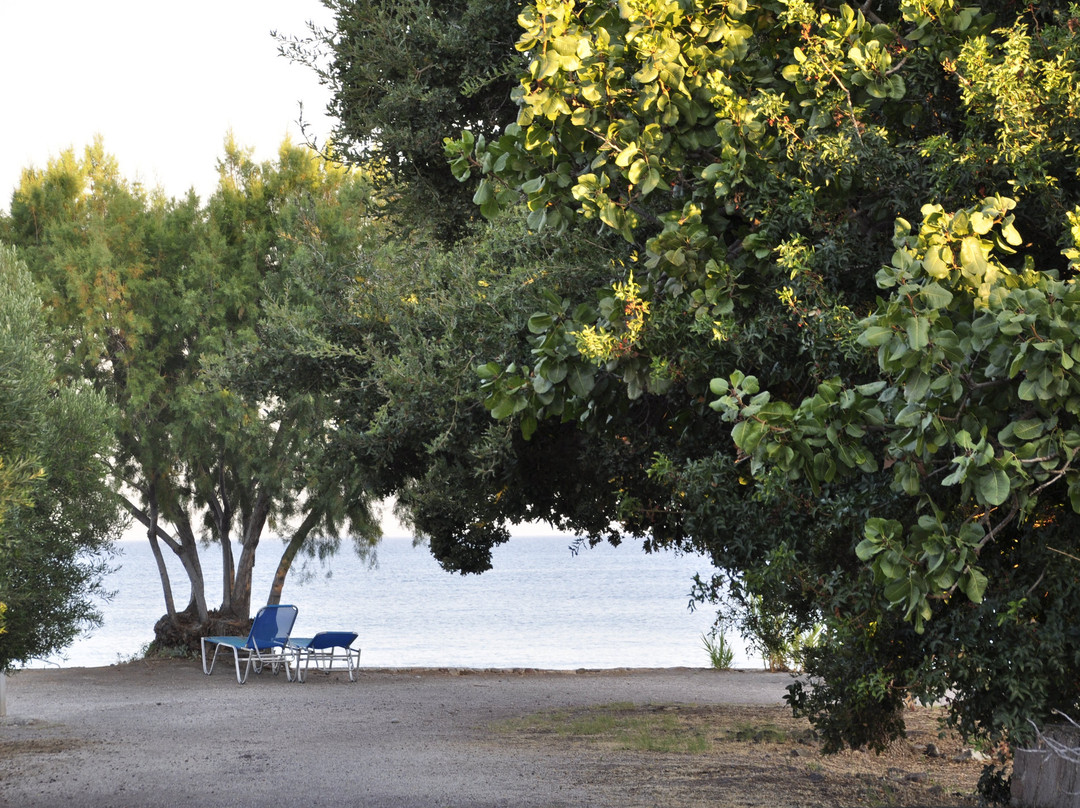 Delfinia Hotel & Bungalows主图