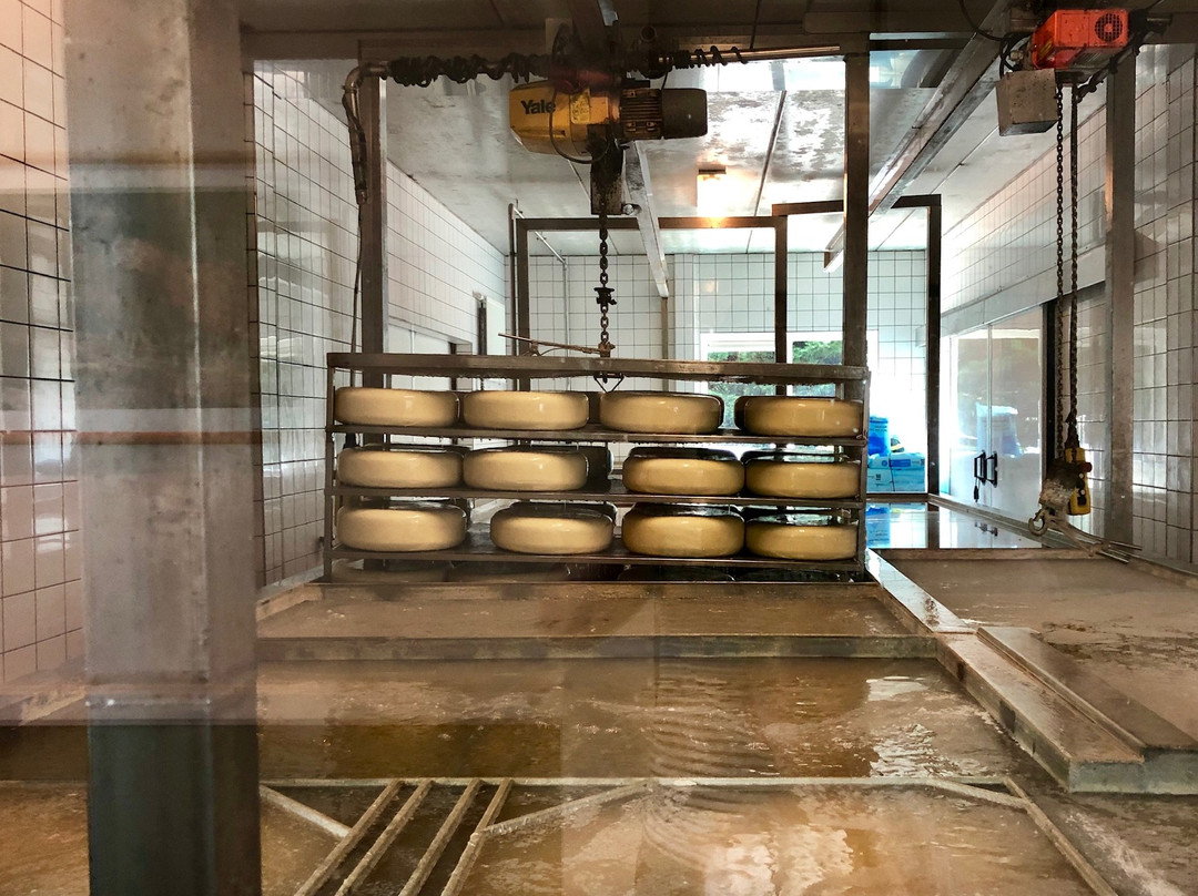 Kaasboerderij Jongenhoeve景点图片