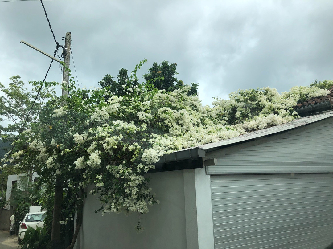 雷根特旅舍主图