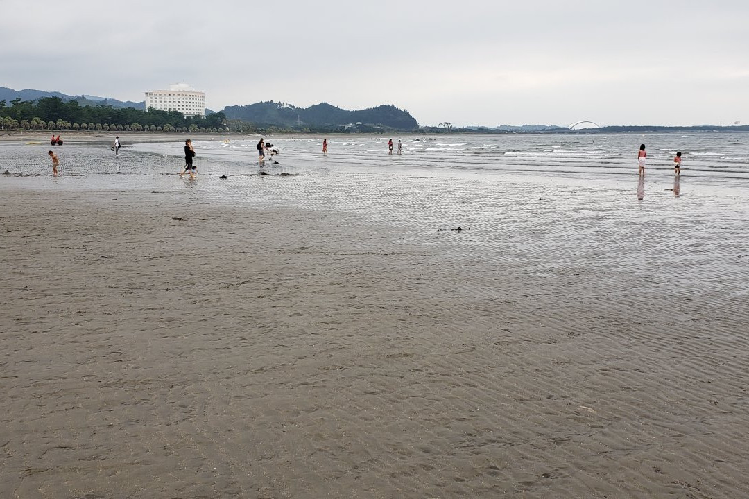 Aoshima Beach-宫崎市必去景点