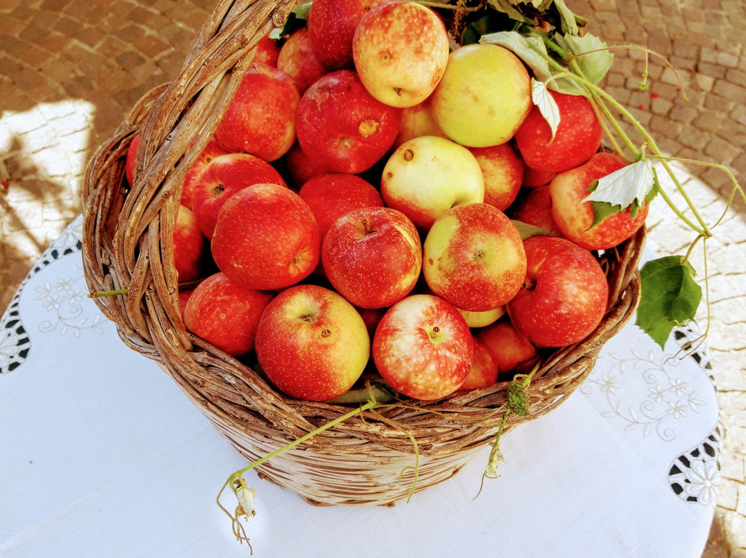 妮多维德酒店主图