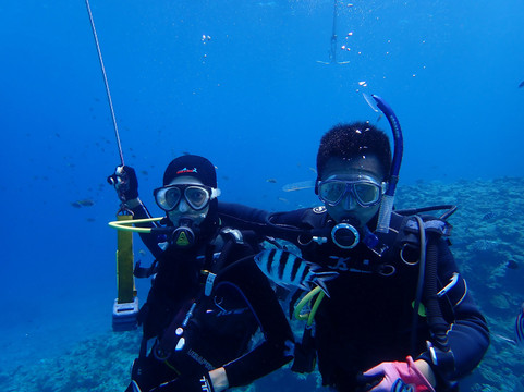 Dive 7 Seas Okinawa-名护市必去景点