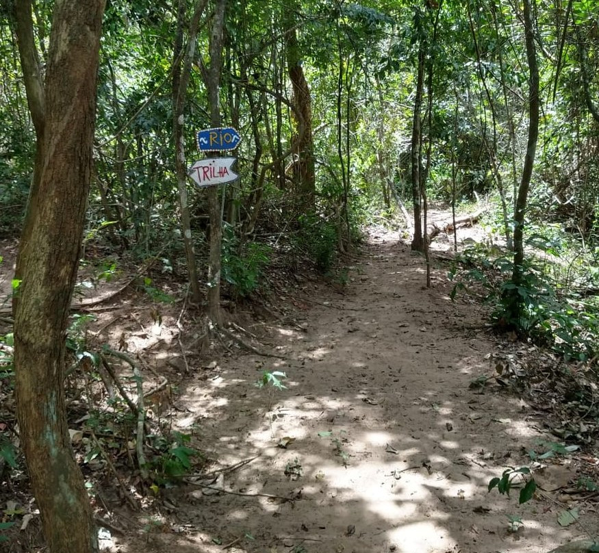 Paraqueira In Natura-Vicosa Do Ceara必去景点