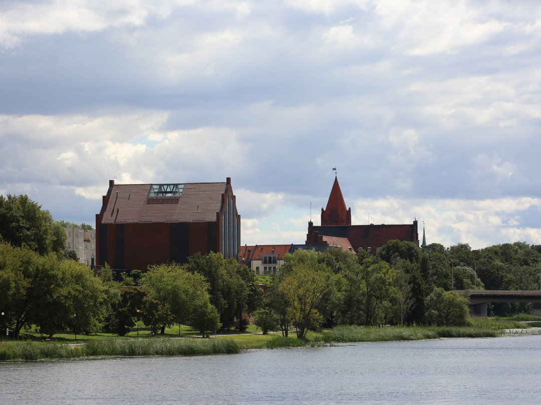 Malbork City Hall景点图片