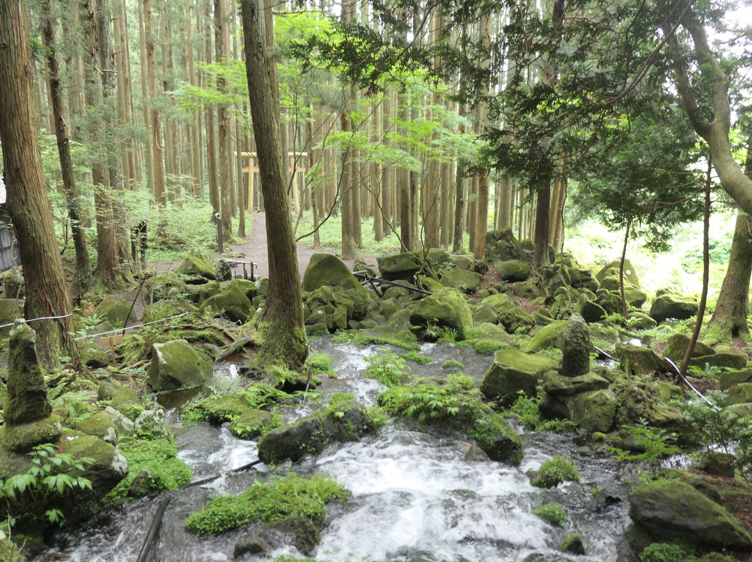 Doharataki Fall景点图片