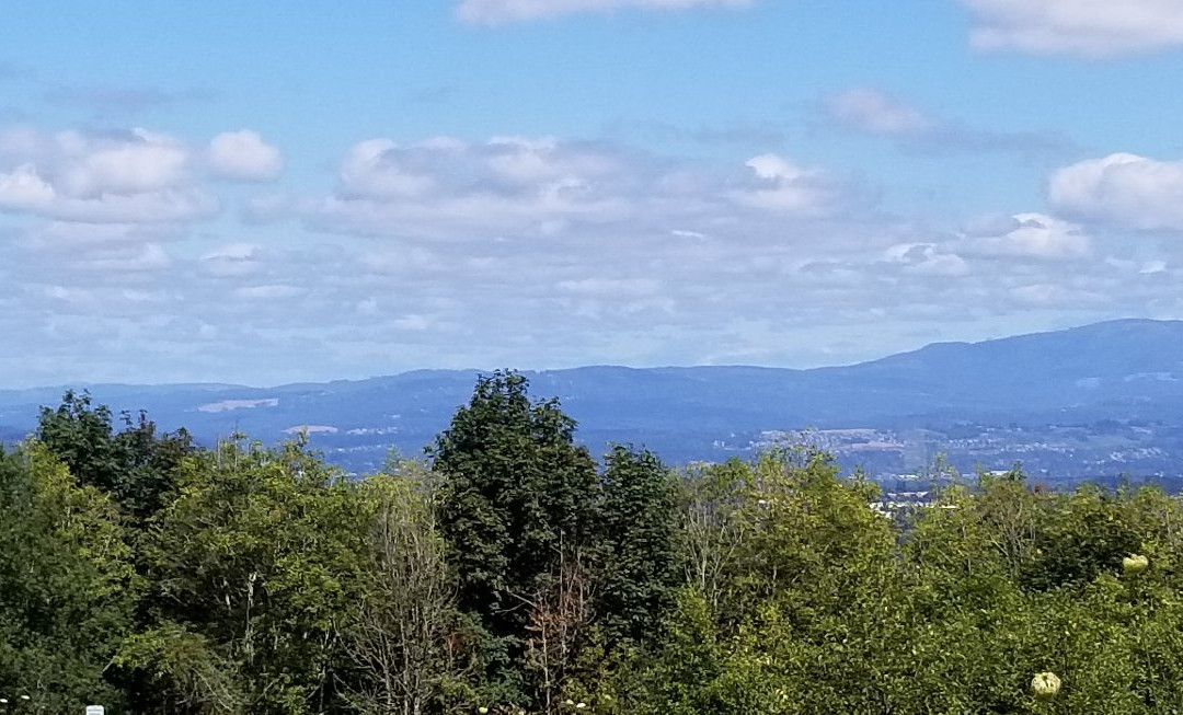 Hogan Butte Nature Park-格雷舍姆必去景点