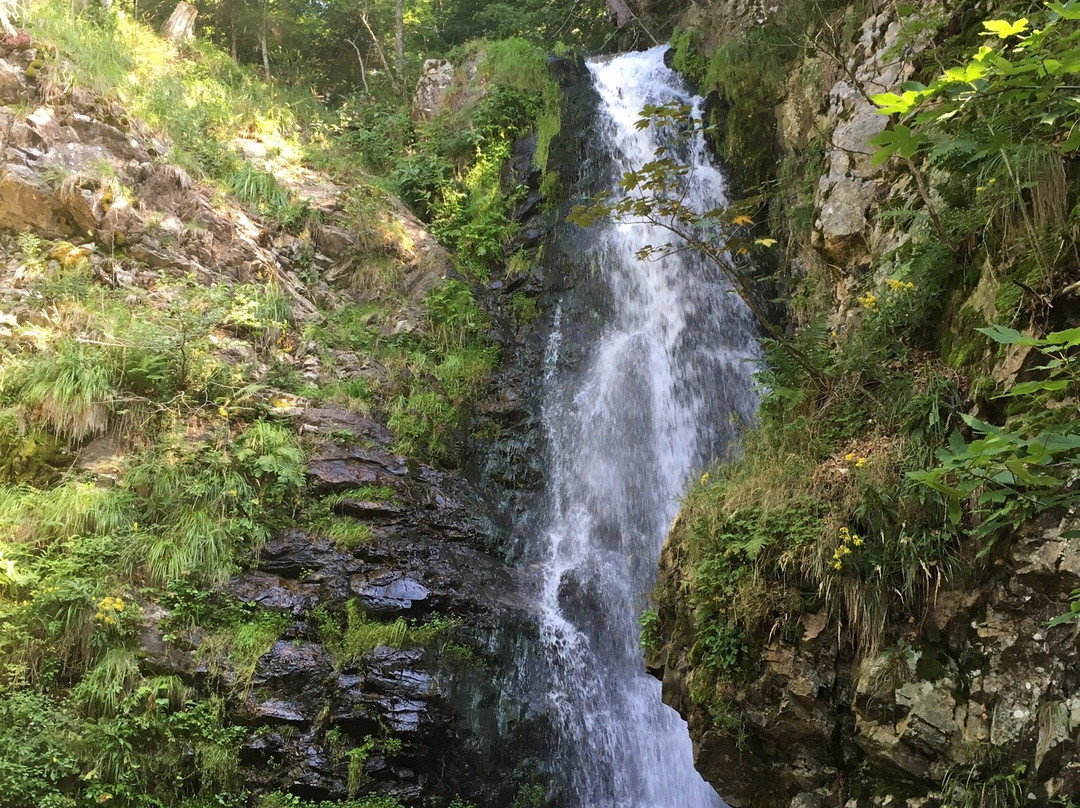 Todtnau Waterfalls景点图片