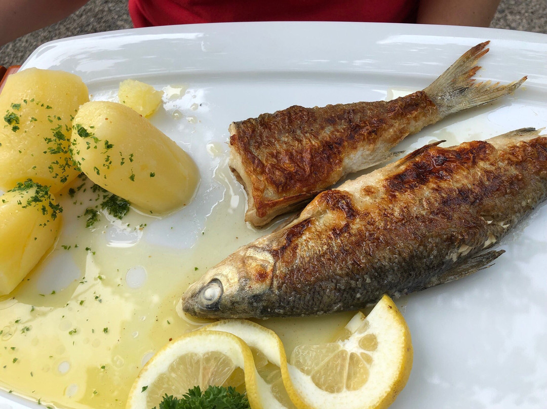 Gasthof zum Stern主图