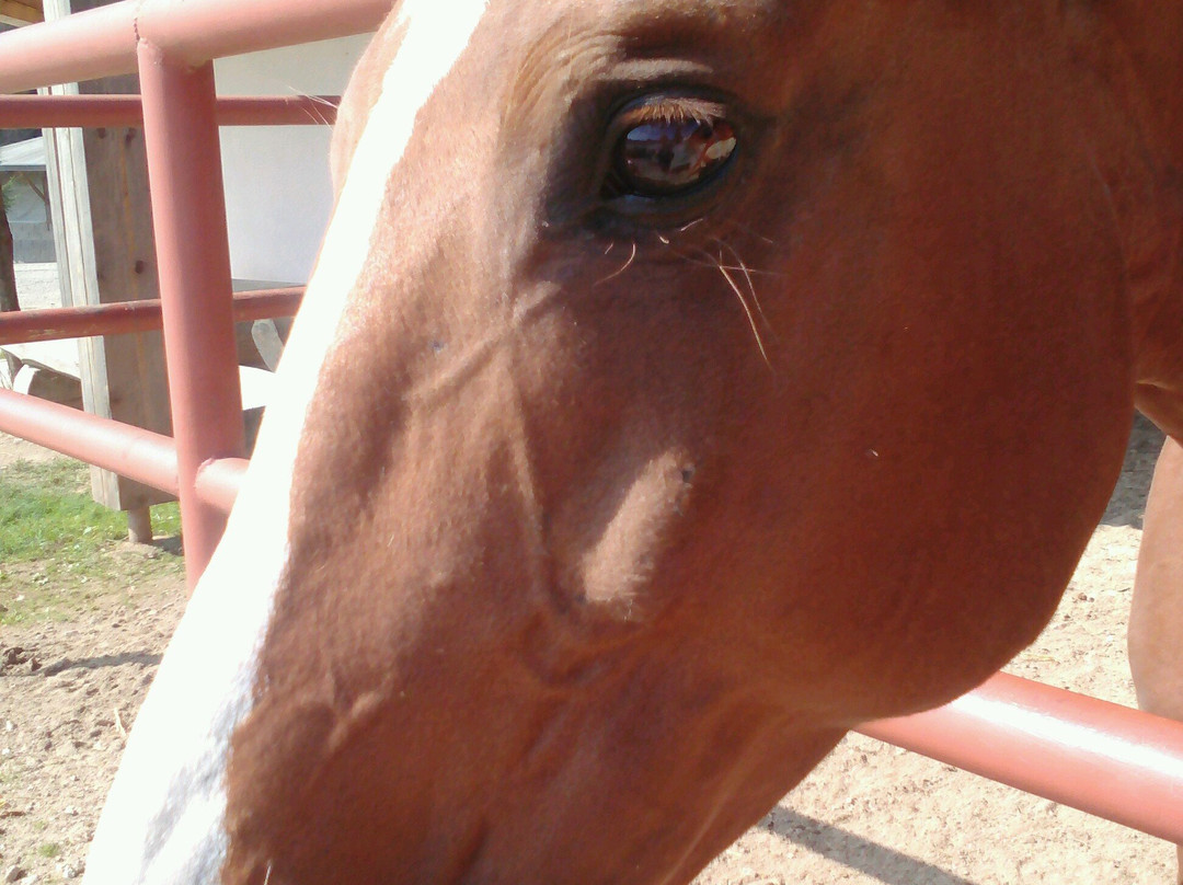 Hospodarsky Dvur Bohuslavice主图