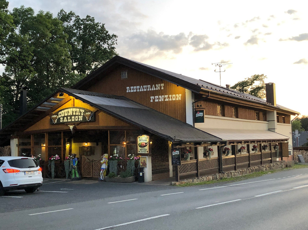 Steak Restaurant Penzion Country Saloon主图