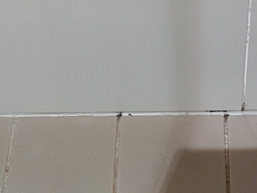 阿达拉卡姆珀尔唐恩酒店主图