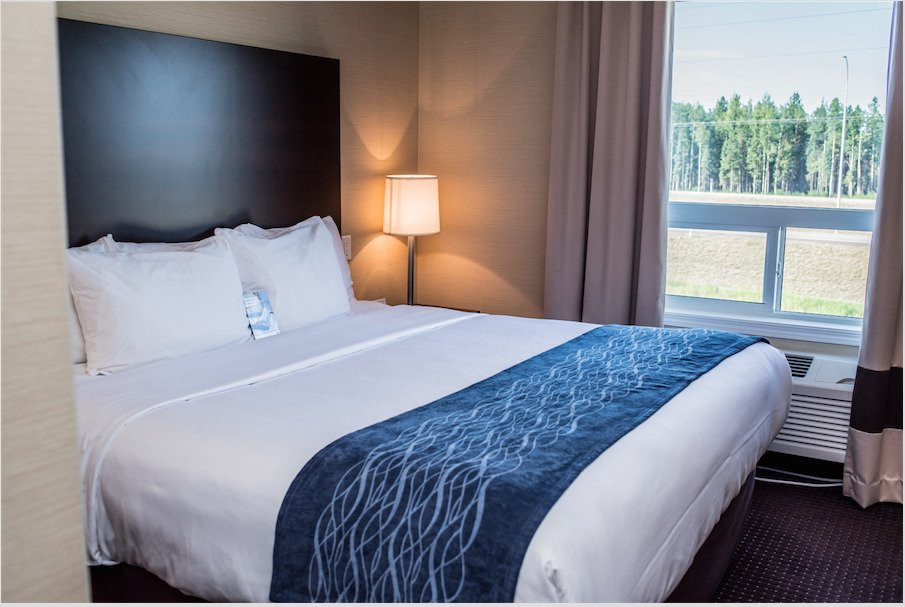 Comfort Inn & Suites主图