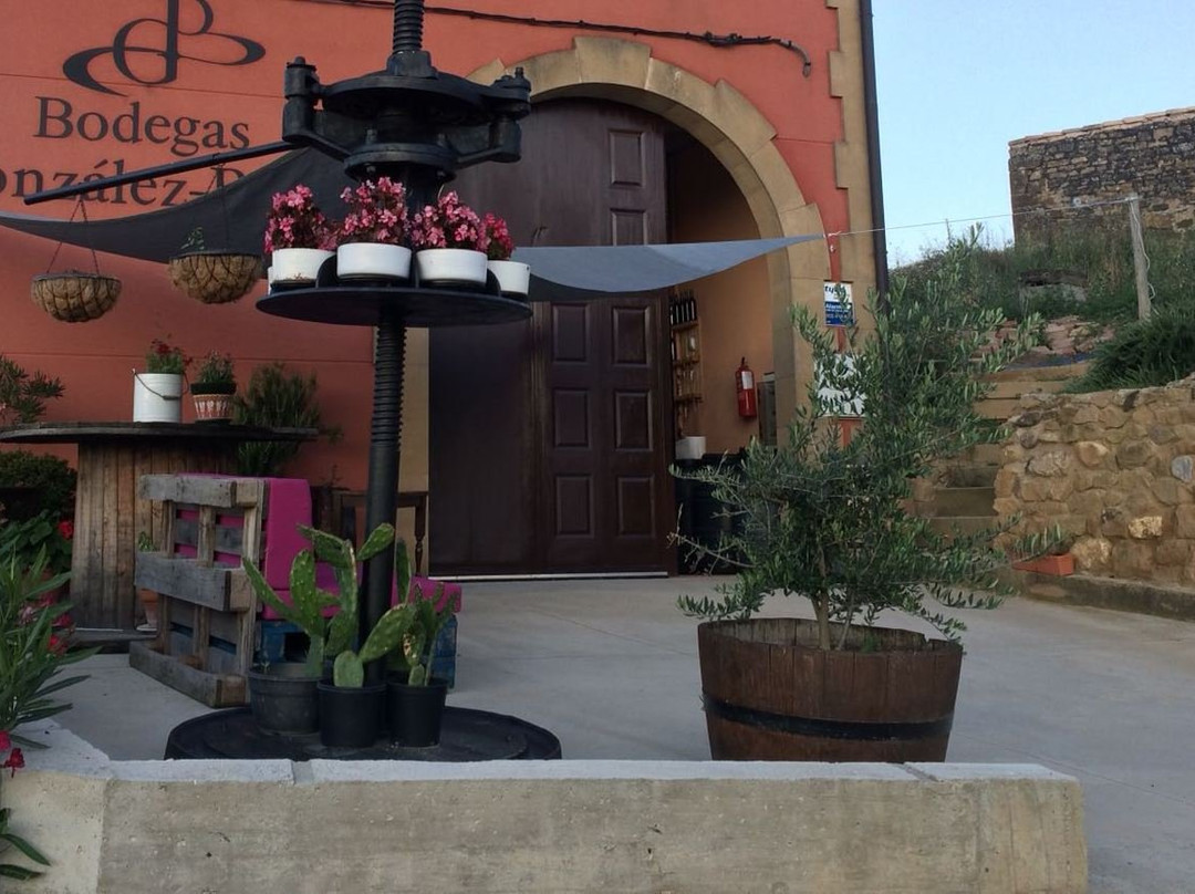 Bodegas González Puras-San Asensio必去景点