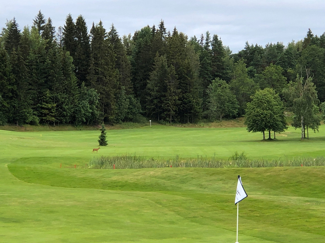 Drøbak Golfklubb景点图片