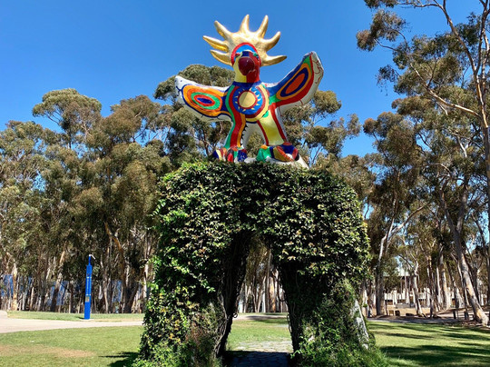 斯图亚特收藏馆-拉荷亚必去景点