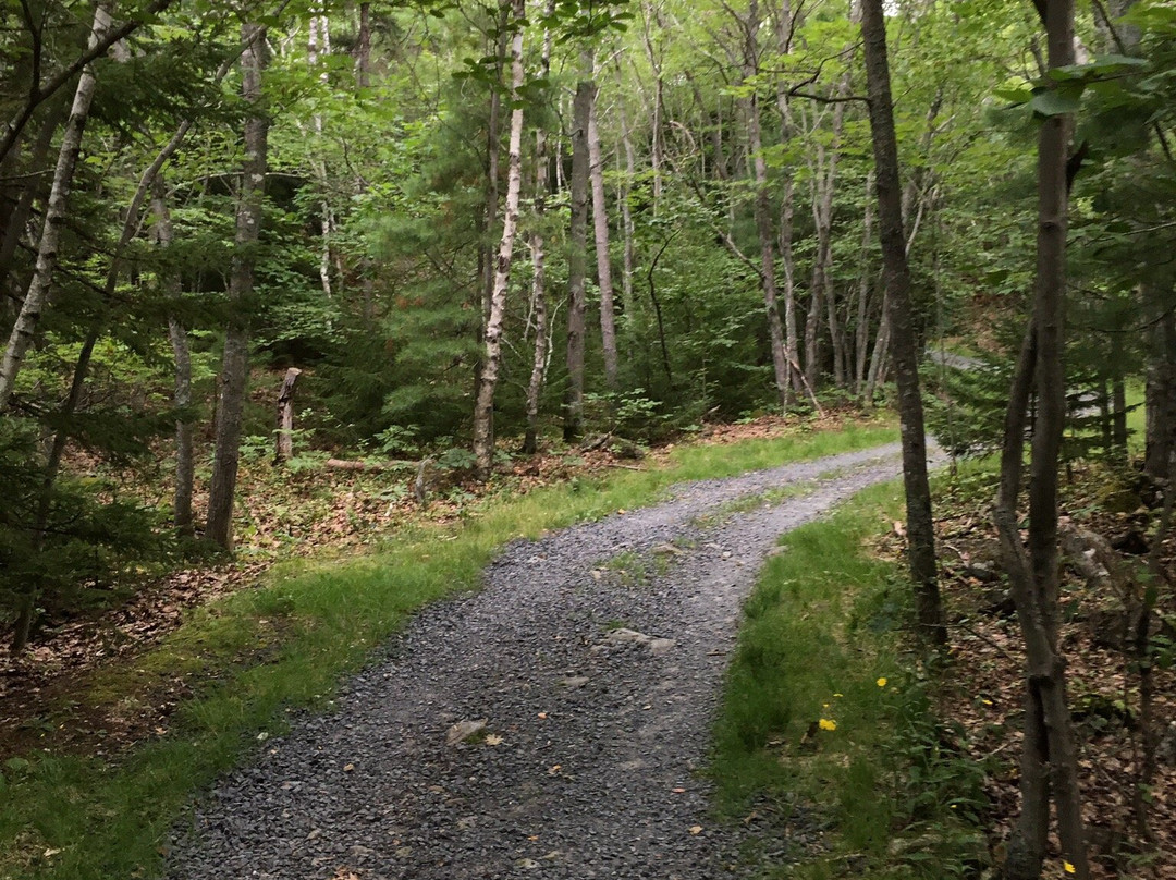 Sir Sandford Fleming Park (The Dingle)-哈利法克斯必去景点