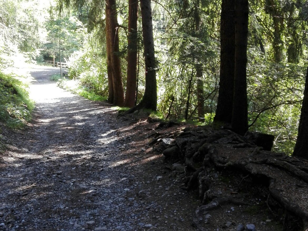 Riserva Naturale Boschi del Giovetto di Palline-Borno必去景点