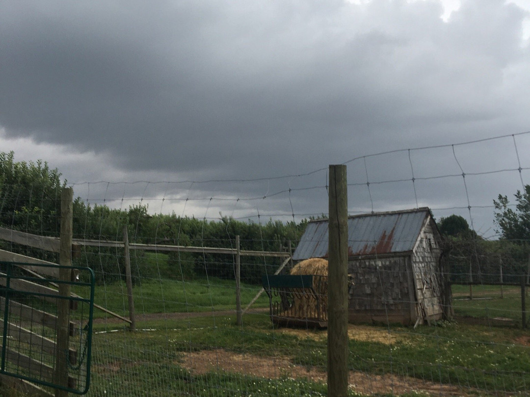 Martock Glen Farm and Agrizoo-Windsor必去景点