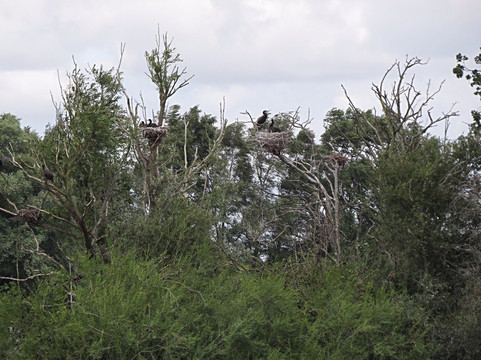 Deeping Lakes-Deeping St James必去景点