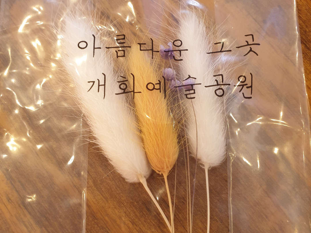 Gaehwa Art Park-保宁市必去景点