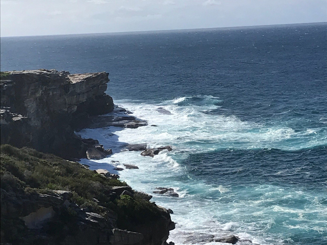 Malabar Headland National Park景点图片