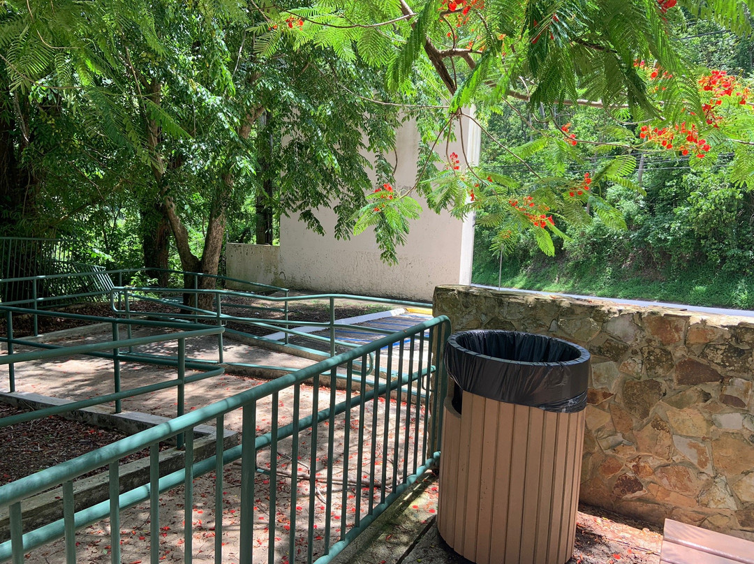 Mirador Las Lagrimas (Viewpoint)-Naranjito必去景点