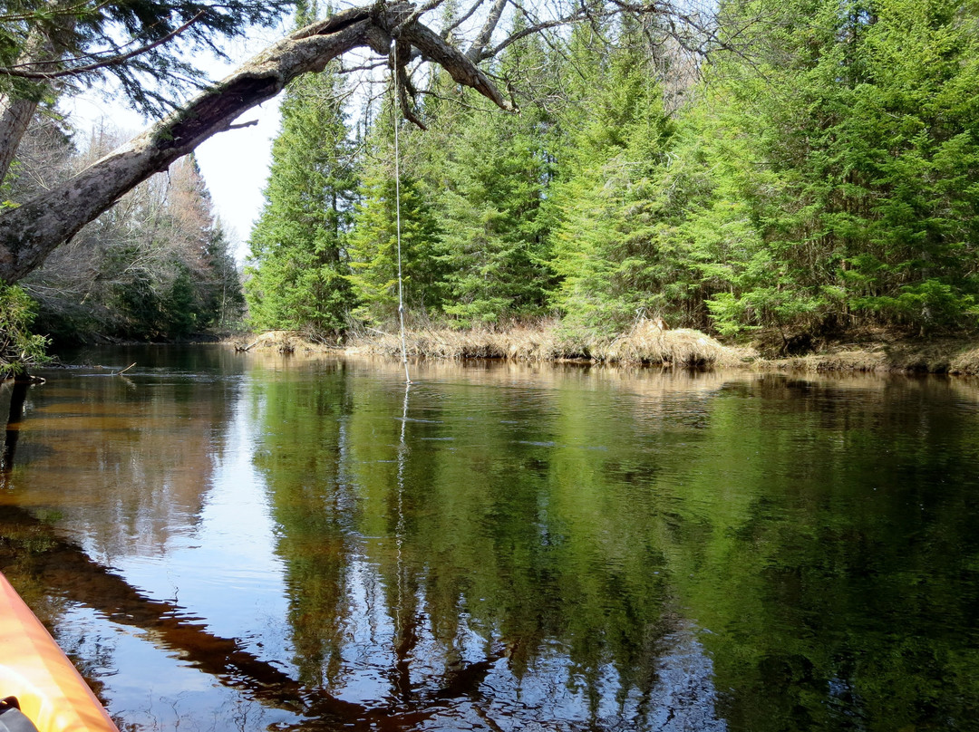 Tickner's Moose River Paddling Trails景点图片