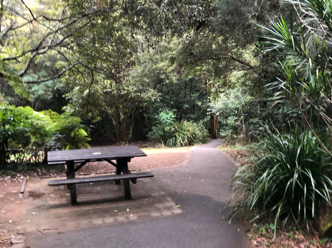Tallanbana Picnic Area-春之泉必去景点