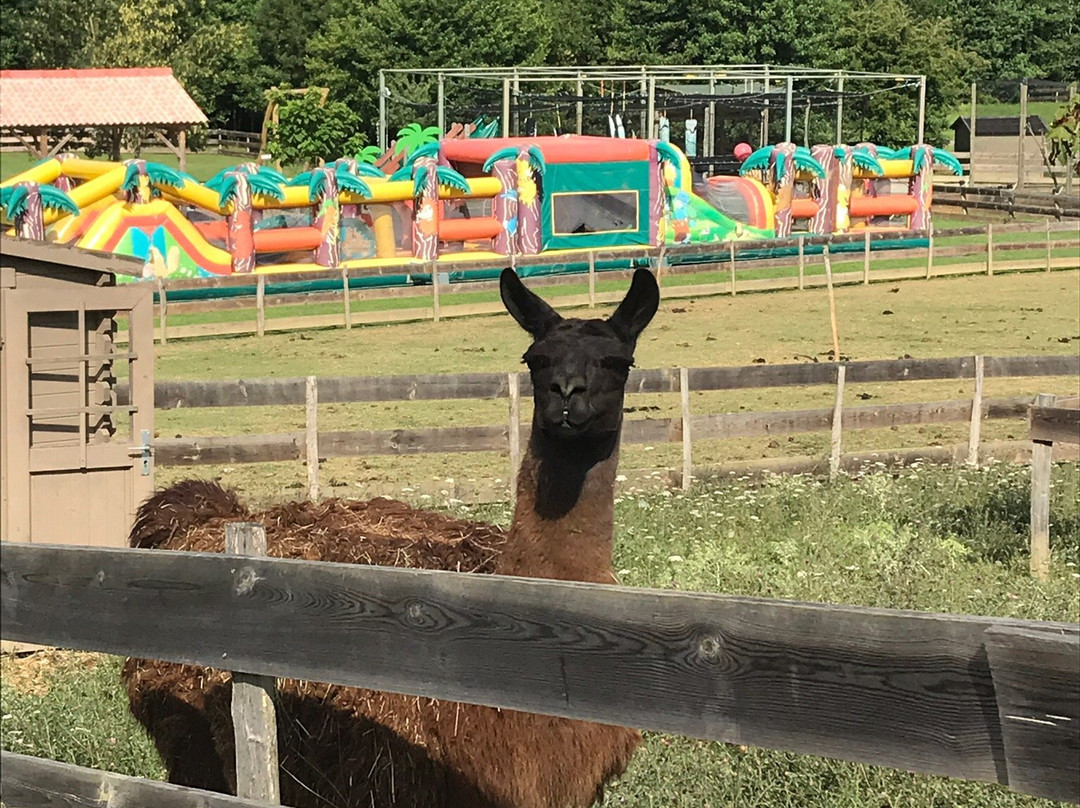 Parc Du Griffon-Caubon-Saint-Sauveur必去景点
