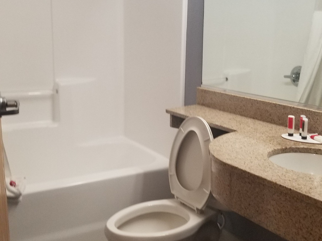 Microtel Inn & Suites By Wyndham Dover主图