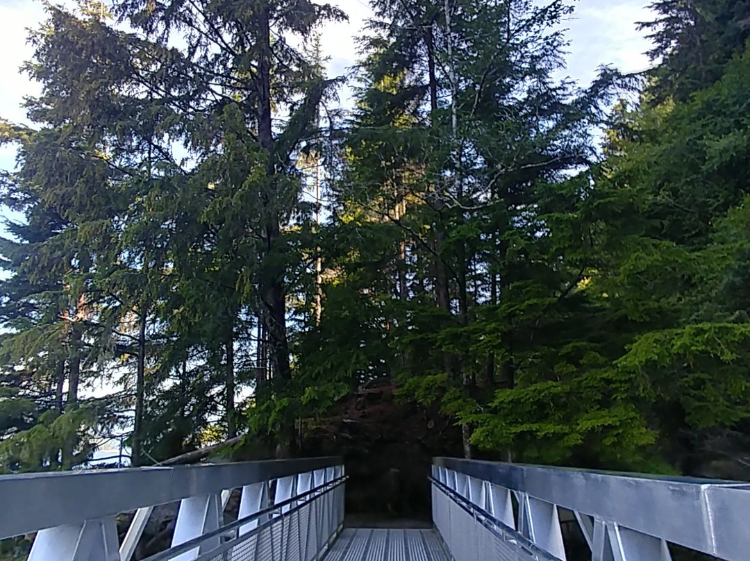 Rushbrook Trail景点图片