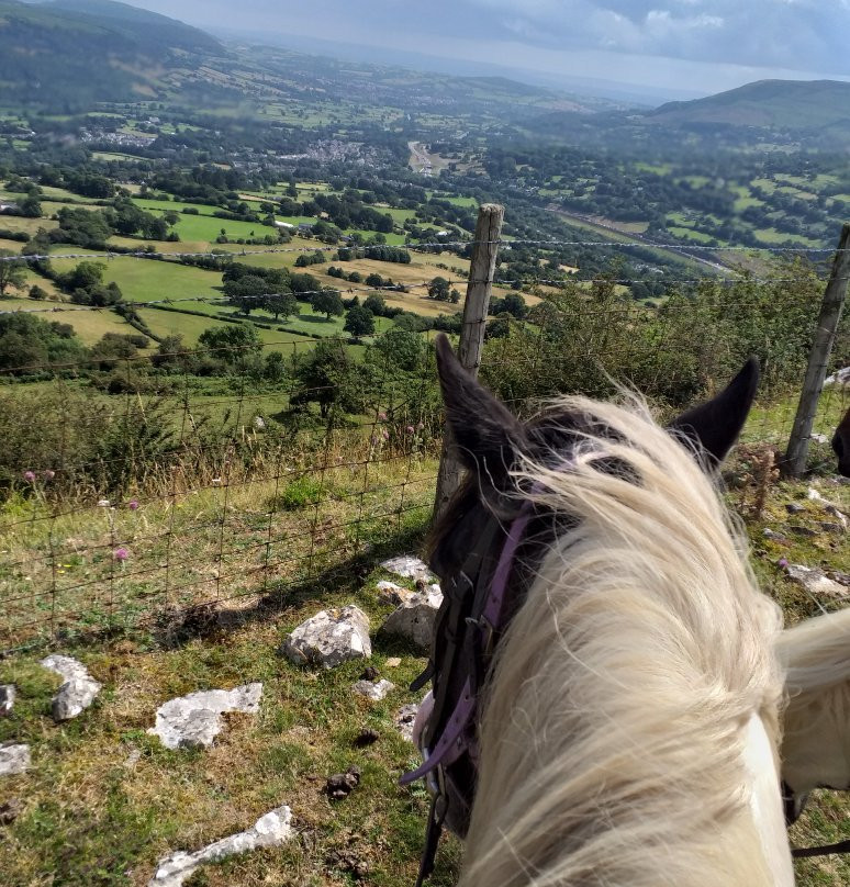 Wern Trekking and Riding Centre-Crickhowell必去景点